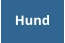 Hund