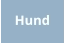 Hund