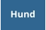 Hund